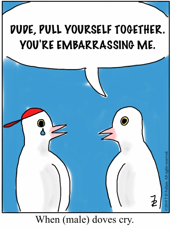 Animals Strike Curious Poses